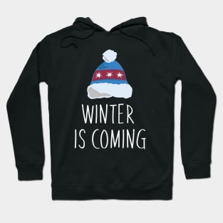 Don't Starve Together Winter Special Hoodie